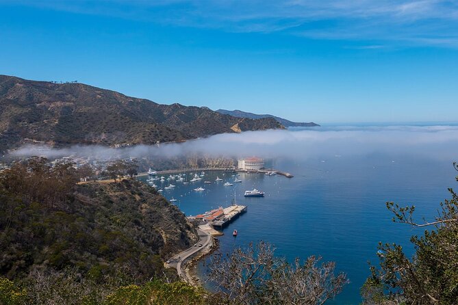 2 hour Inside Adventure Tour on Catalina Island - Key points to know before booking