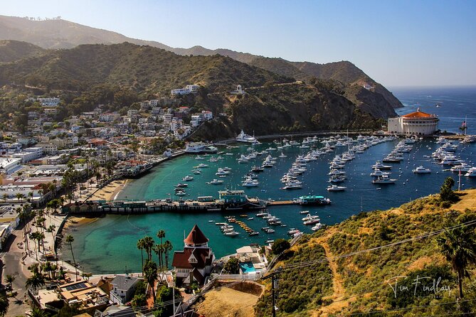 2 Hour Private Tour of Avalon - Key points at a glance
