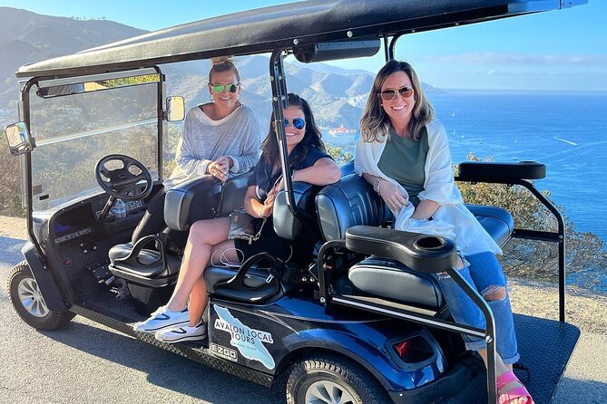 2 Hour Private Tour of Avalon - Two hours from waterfront streets to high viewpoints