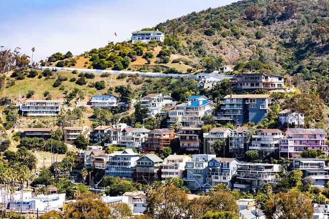 2 Hour Private Tour of Avalon - Families, older visitors, and guests with special needs