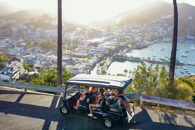 2 Hour Private Tour of Avalon - Avalon’s views without the hard climb
