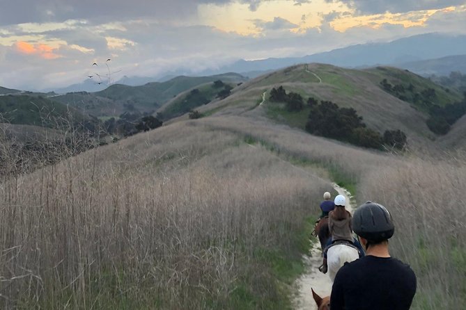 2 Hour Wildflower Horseback Trail Ride experience in Agoura Hills - Key points for choosing this ride