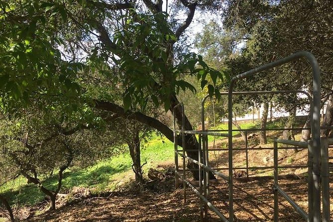 2 Hour Wildflower Horseback Trail Ride experience in Agoura Hills - Crossing into the canyon and park
