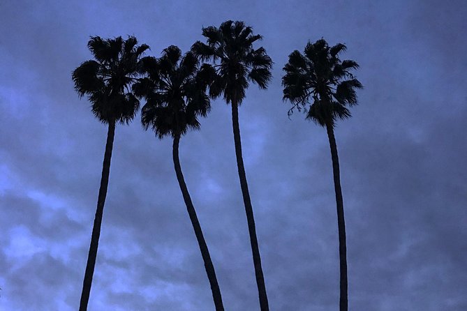 3.5 Hour Coastal Tour of Santa Monica, Venice Beach and Malibu - Malibu Country Mart and the Malibu coast