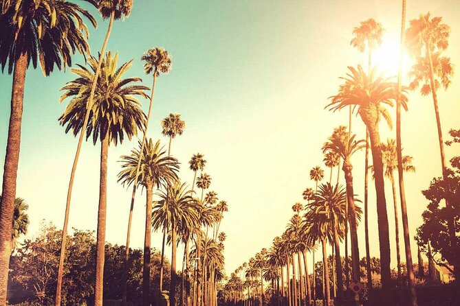 3.5-Hour LA Story Tour: Our Most Popular Los Angeles Tour! - Hollywood Forever Cemetery and the Dolby Theatre