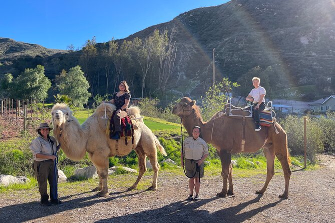 3 Hour Camel Trek into the Forest and Ranch in California - A camel trek unlike a typical Los Angeles outing