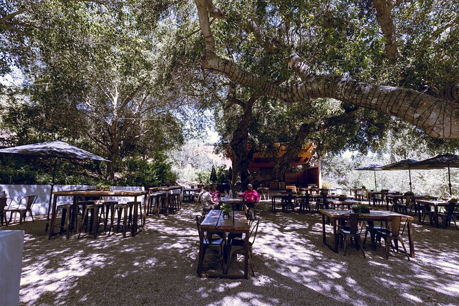 3-Winery Santa Ynez Tour with Picnic Lunch & Tasting Fees - The guides are a major part of the value