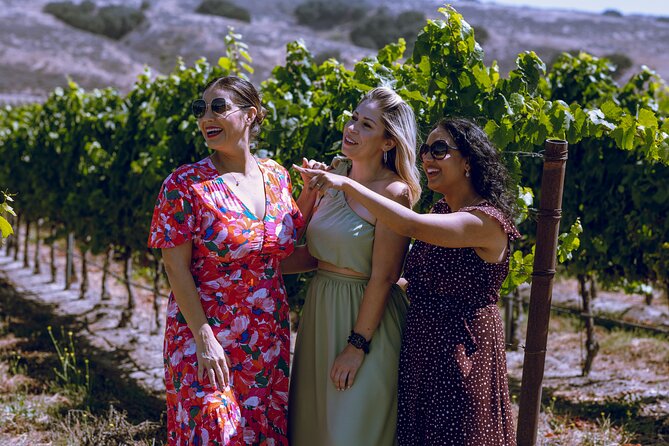 3-Winery Santa Ynez Tour with Picnic Lunch & Tasting Fees - Stop one: lunch, vineyard views, and your first tasting