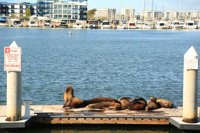 4.5 Hour Venice Beach Open Air Van Tour - Walking the Venice Canals for 30 minutes