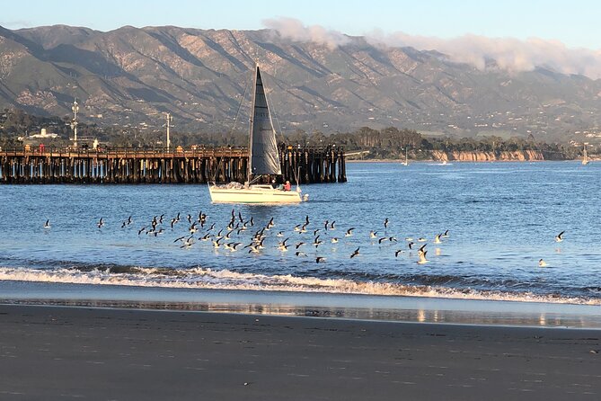 5 STARS: "Where The Locals Go!" Nature-History Tour - A quick way to see Santa Barbara’s many sides