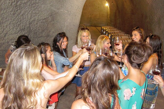 6-Hour Private Limousine Santa Barbara Wine Tour - Who will get the most from this day