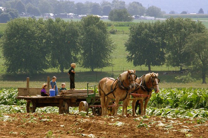 Amish Experience SuperSaver Package - What this package is really offering