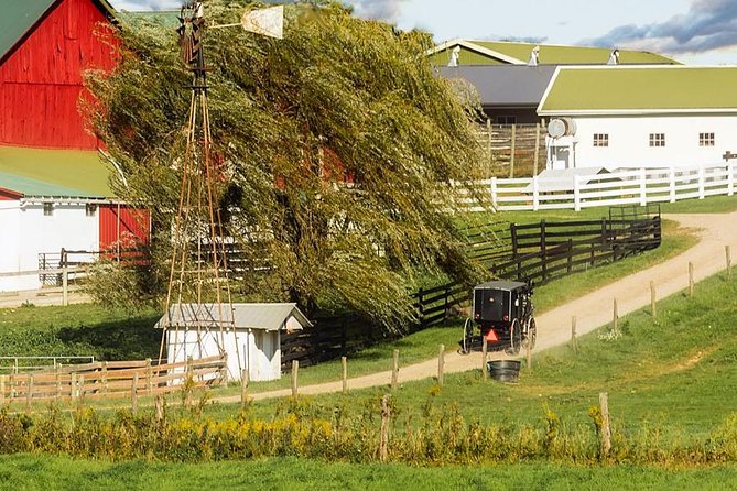 Amish Experience Visit-In-Person Tour - Why the home visit matters most