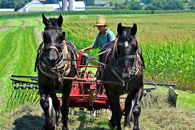 Amish Farmlands Tour - Key points to know before you book