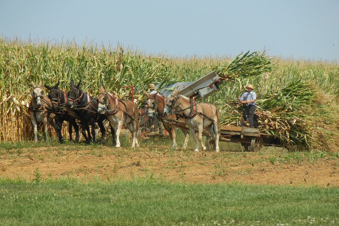 Amish Farmlands Tour - Riding into Lancaster’s Amish Country