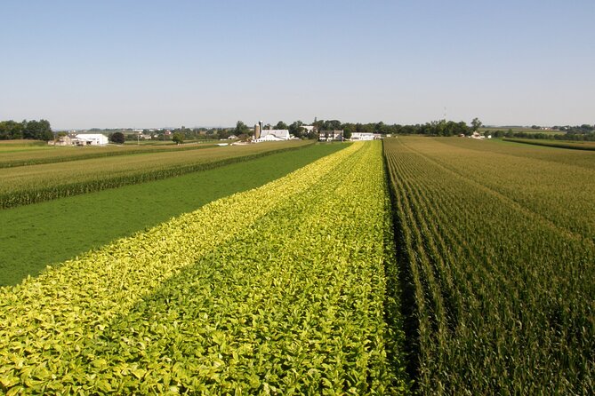 Amish Farmlands Tour - Is $29.95 a good value?