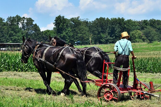 Amish Farmlands Tour - What the 90-minute route actually offers