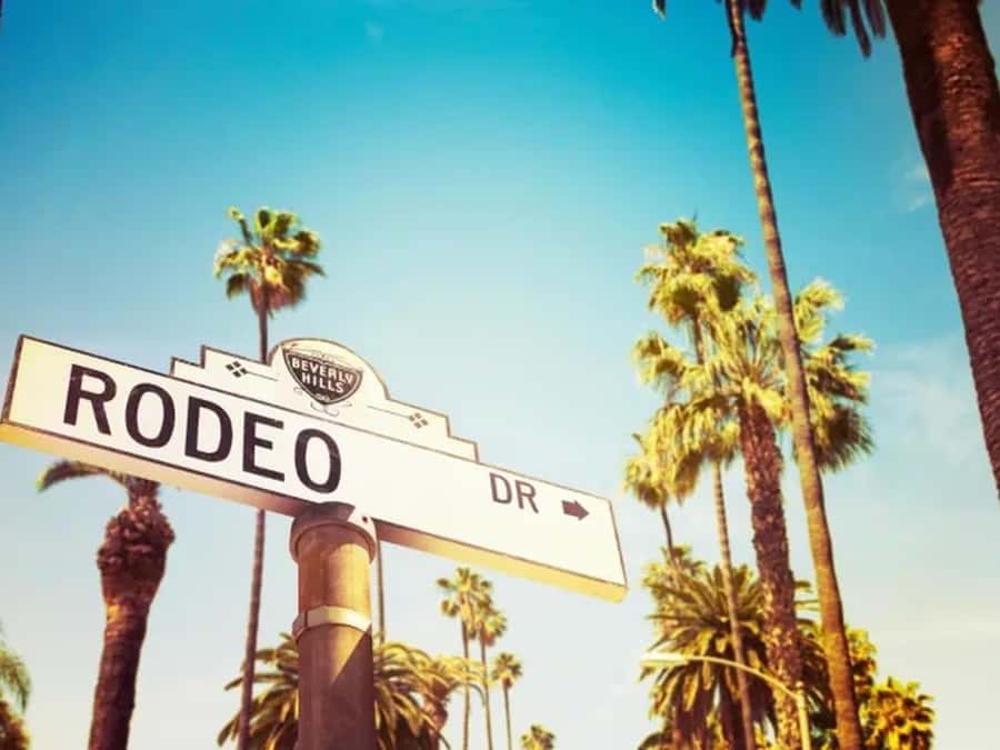 Anaheim: Hollywood Grand Tour with Hotel Pickup - Catching the Hollywood Sign