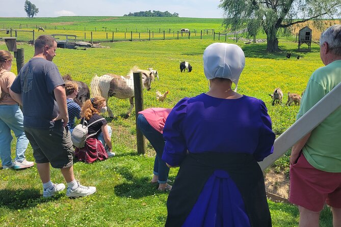 Authentic Tour & Meal with the Amish! - Sitting down with an Amish host family