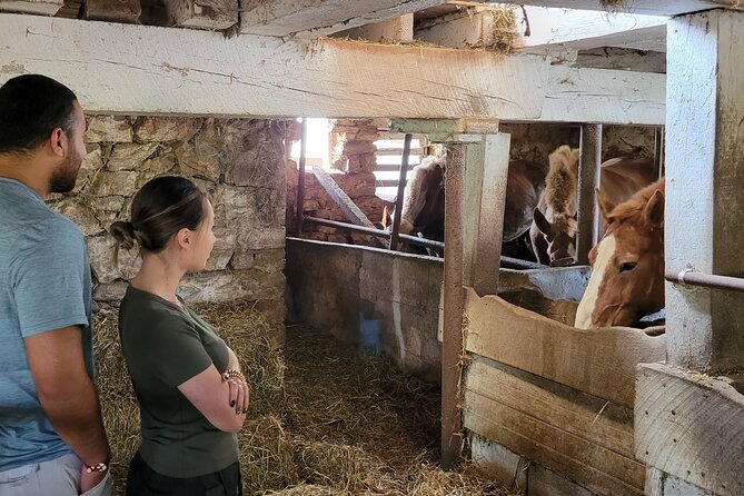 Authentic Tour & Meal with the Amish! - The ride back and the value of the afternoon