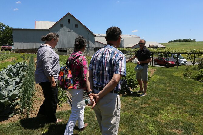 Authentic Tour & Meal with the Amish! - Should you book it?