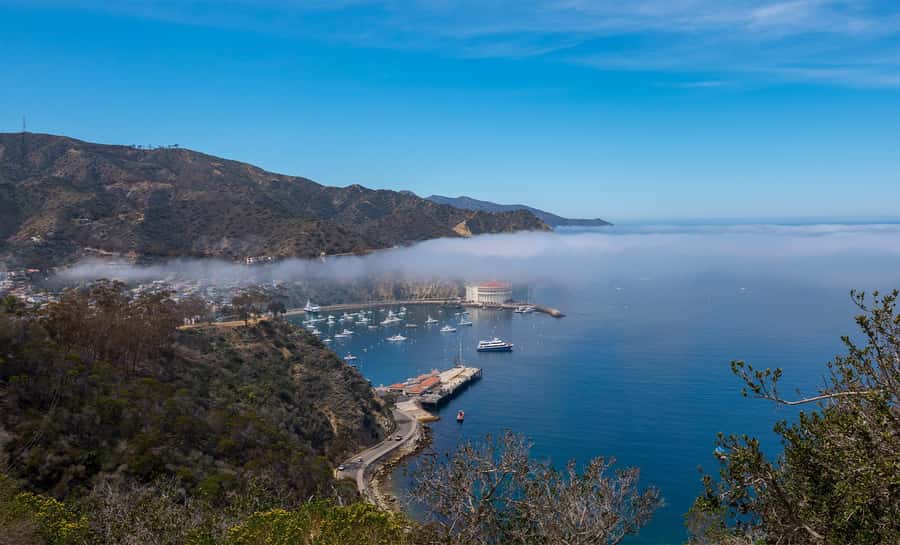 Avalon, Catalina Island: 2-Hour Inside Adventure Tour - The climb into Catalina’s protected countryside