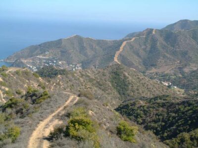 Avalon, Catalina Island: 2-Hour Inside Adventure Tour