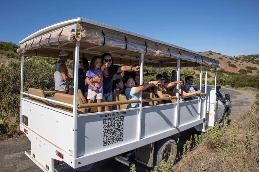 Avalon, Catalina Island: 2-Hour Inside Adventure Tour - Practical ways to make the two hours better