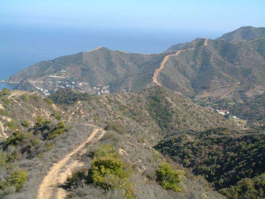 Avalon, Catalina Island: 2-Hour Inside Adventure Tour - Finding the departure point beside the ferry plaza