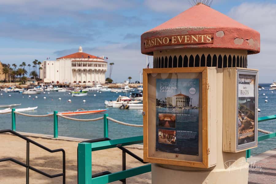 Avalon: Private Golf Cart Tour with Driver-Guide - Key points at a glance