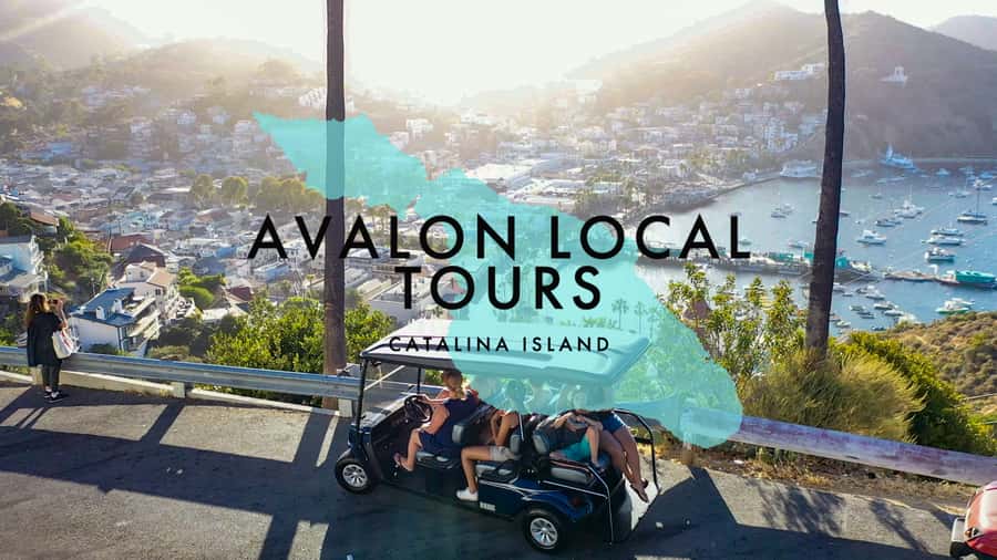 Avalon: Private Golf Cart Tour with Driver-Guide - Why a golf cart is a smart way to see Avalon
