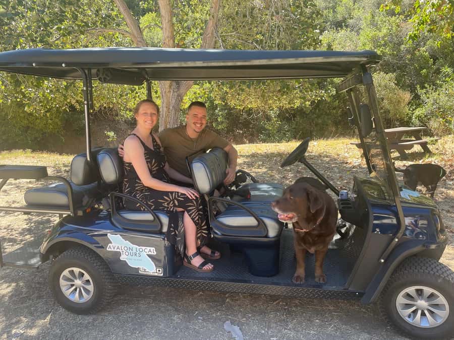 Avalon: Private Golf Cart Tour with Driver-Guide - Scenic overlooks and photo stops