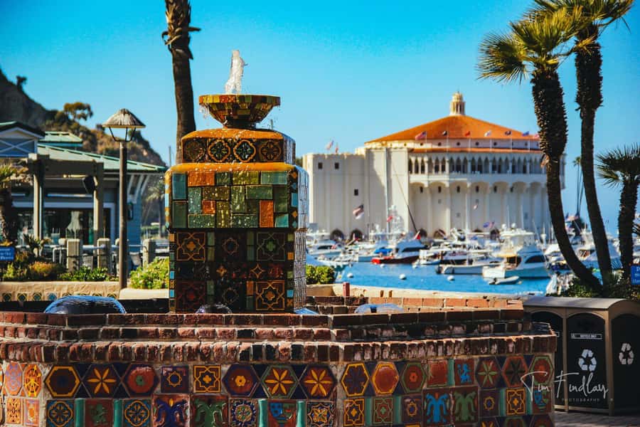 Avalon: Private Golf Cart Tour with Driver-Guide - Starting at the pickup point
