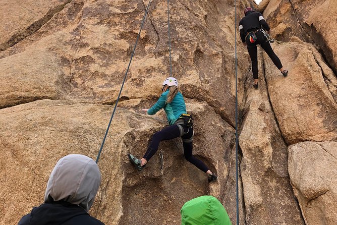 Beginner Group Rock Climbing in Joshua Tree National Park - Is $240 a Fair Price?