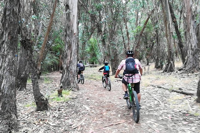 Beginner or Intermediate Mountain Bike Tour of Santa Barbara - What the $125 price really covers