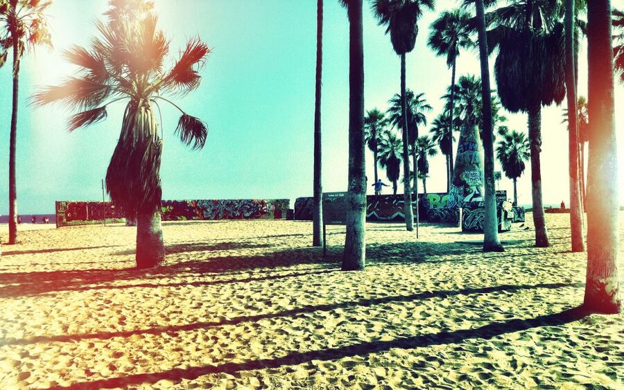 Best of Los Angeles Day Tour with German-Speaking Guide - Chinatown and the downtown perspective