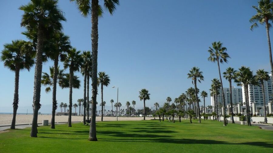 Best of Los Angeles Day Tour with German-Speaking Guide - What the German-speaking guide adds