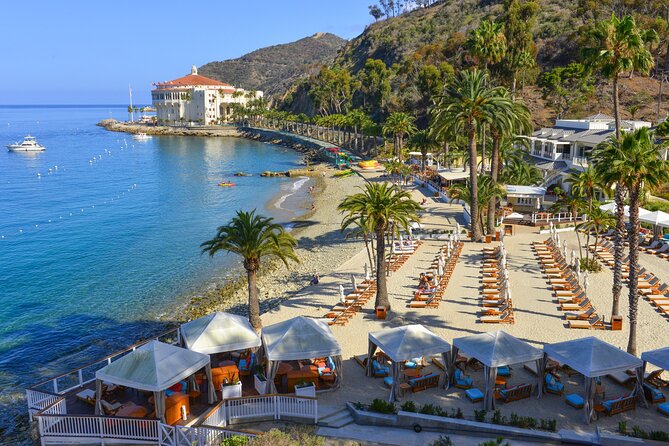 Catalina Express: Avalon to San Pedro One-Way Ferry - Arriving at the San Pedro Catalina Air & Sea Terminal