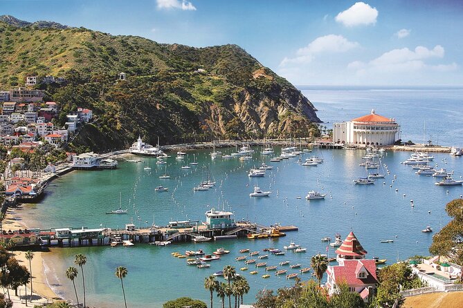 Catalina Express: Avalon to San Pedro One-Way Ferry - Why the $47 price can make sense
