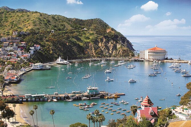 Catalina Express: San Pedro to Avalon One-Way Ferry - Arriving at Avalon’s Cabrillo Mole