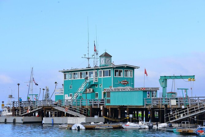 Catalina Express: San Pedro to Avalon One-Way Ferry - Luggage, pets, and accessibility