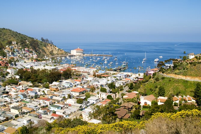 Catalina Island Avalon Highlights Walking Tour - What This Avalon Tour Really Is