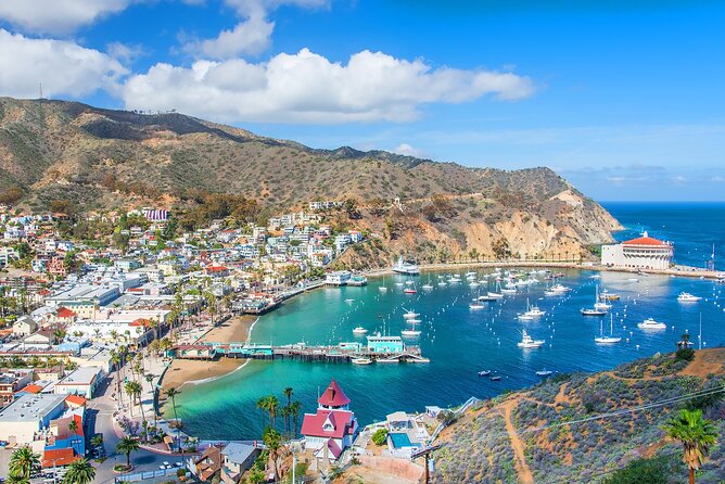 Catalina Island Avalon Highlights Walking Tour - Starting at Catalina Express