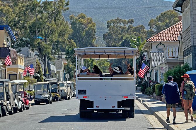 Catalina Island City and Scenic Mt Ada Tour - A fast ride into Avalon’s hills