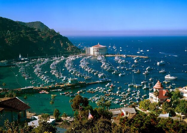 Catalina Island Day Trip from LAX area hotels with Undersea Adventure - Key points to know before you book