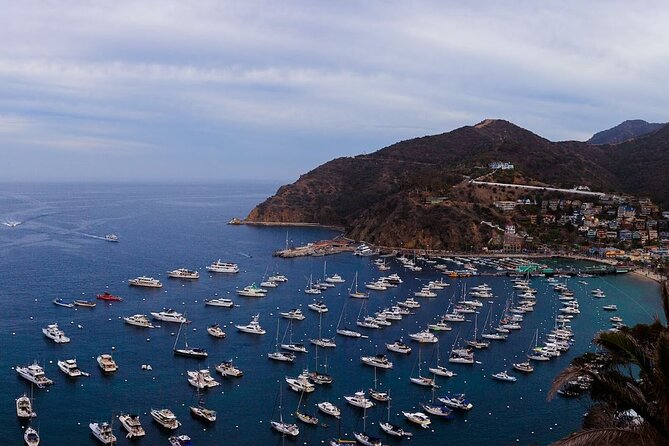 Catalina Island Ferry Avalon to Newport Beach - Key points for the Avalon to Newport crossing