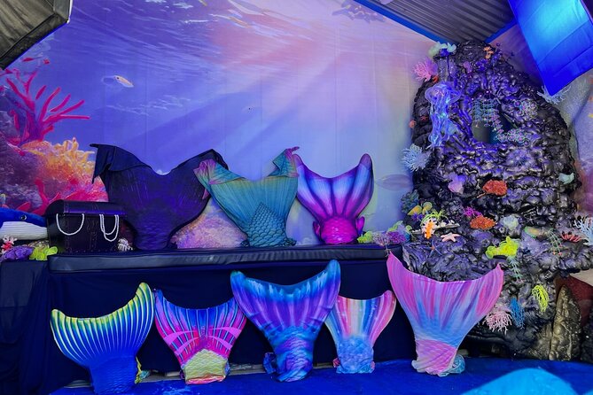 Catalina Island Mermaids Transformation - Key points at a glance