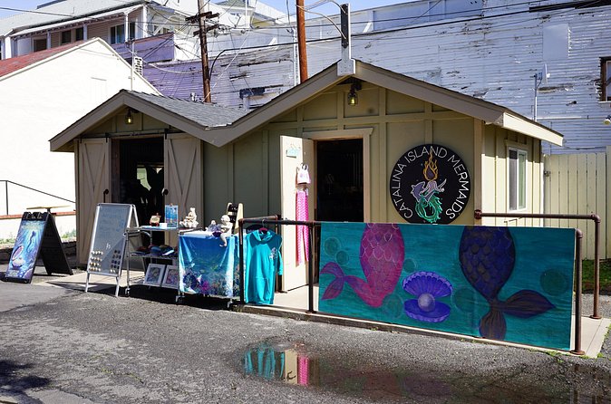 Catalina Island Mermaids Transformation - Practical planning before you book
