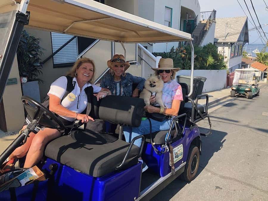 Catalina Island: Private Guided Golf Cart Tour of Avalon - Key points at a glance