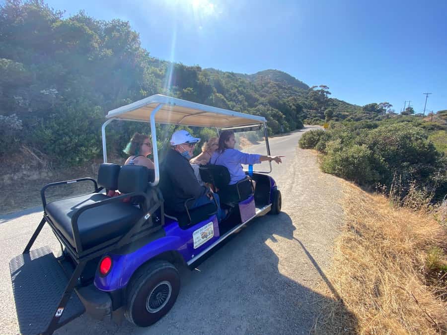 Catalina Island: Private Guided Golf Cart Tour of Avalon - Why a golf cart makes sense in Avalon